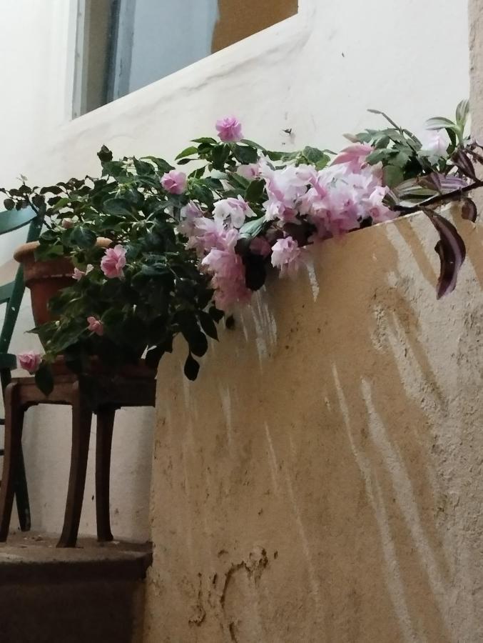Um Quarto Da Casa Do Monte Vila Franca do Campo Exterior photo